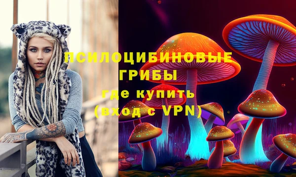 стафф Богданович